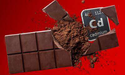 Chocolat et cadmium Révélations sur un plaisir toxique