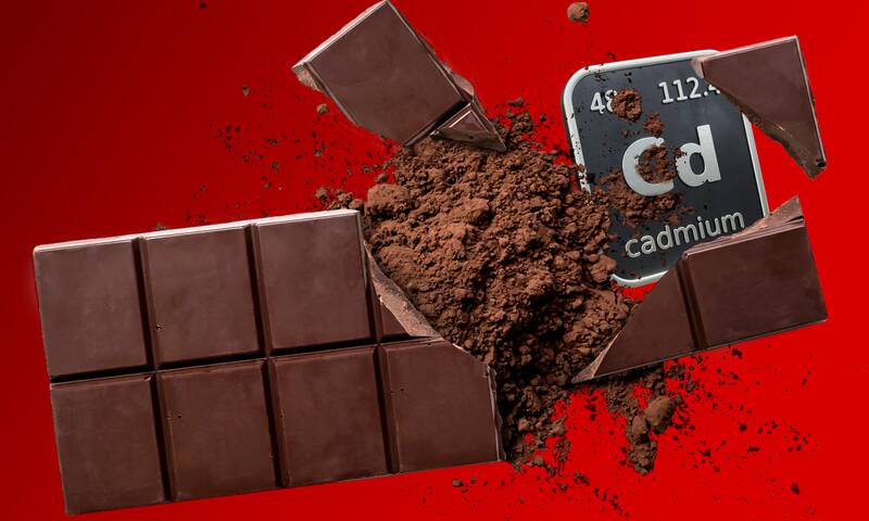 Chocolat et cadmium Révélations sur un plaisir toxique Chocolat et cadmium Révélations sur un plaisir toxique