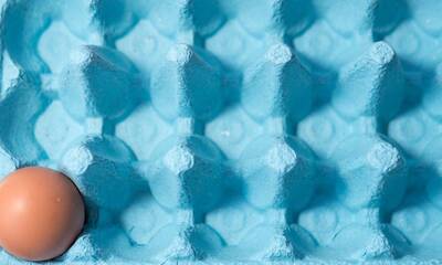 Œufs (vidéo) Les raisons d’une pénurie