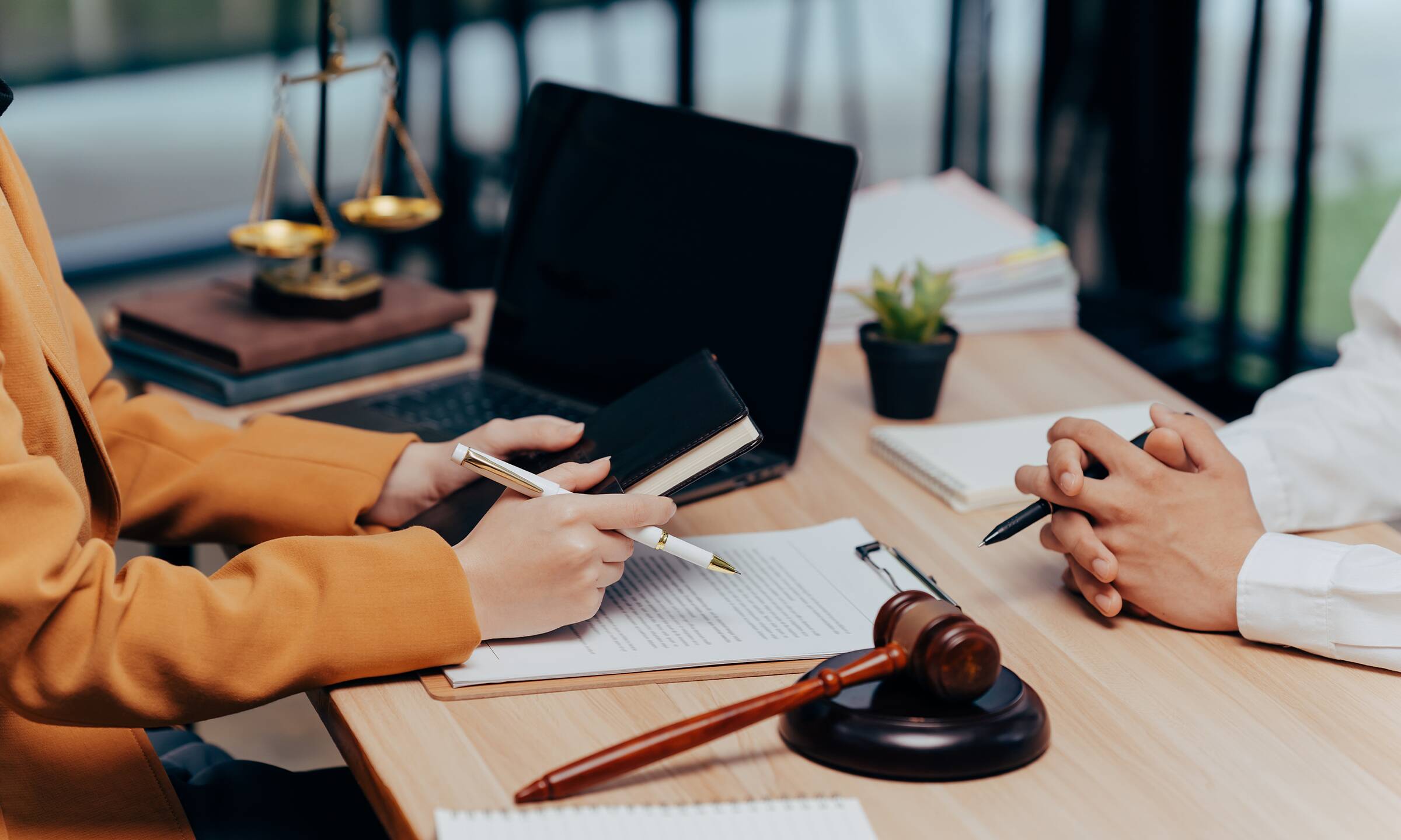 Des actions en justice et des recours juridiques