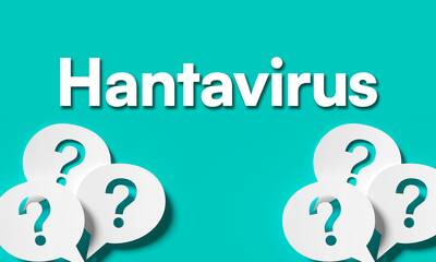 Hantavirus Que sait-on de ces virus transmis par les rongeurs ?