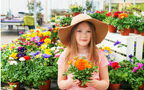 MAGASINS DE JARDINAGE ET BRICOLAGE-LA SATISFACTION