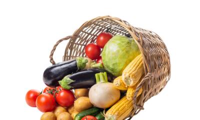 Circuit court Découvrez les commerces proches de chez vous