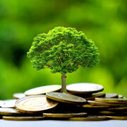 Finance verte Il est urgent de mettre fin à l’écoblanchiment