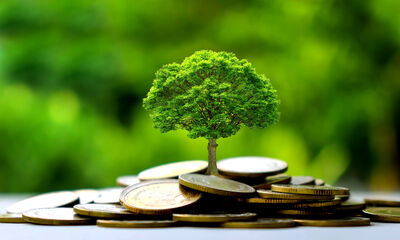 Finance verte Il est urgent de mettre fin à l’écoblanchiment