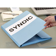 Guide pratique sur les Contrats de syndics Face à l’inaction des pouvoirs publics, un lot de conseils et un contrat-type au service des copropriétaires