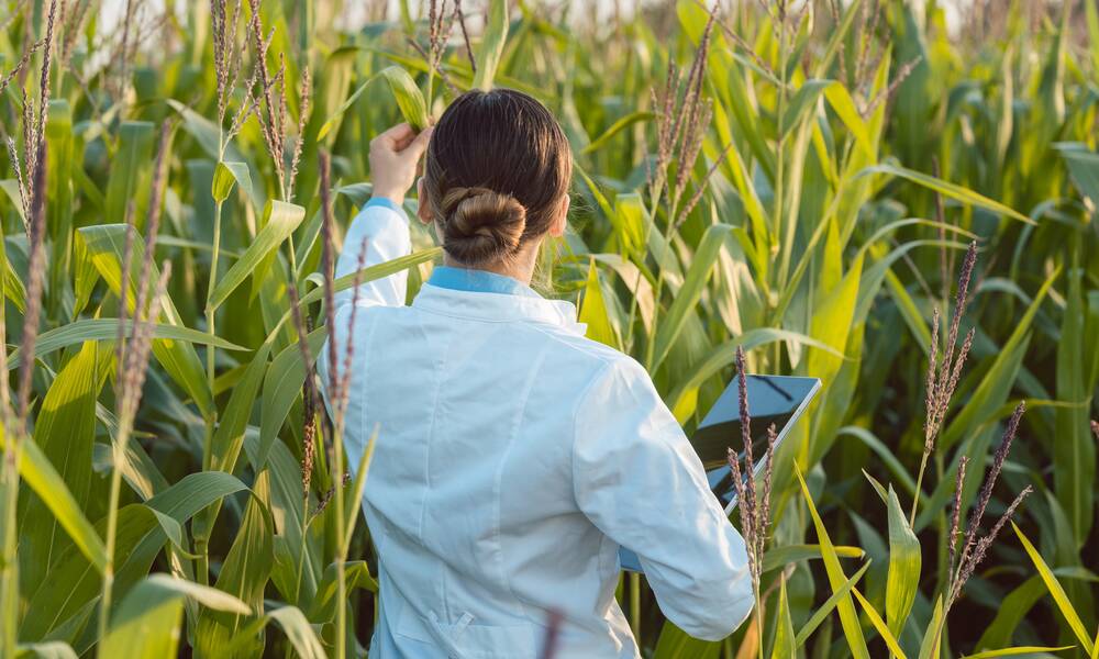 Lettre ouverte au Gouvernement et aux eurodéputé.e.s – Nouveaux OGM, ne sacrifions pas notre agriculture et notre alimentation – Action UFC-Que Choisir – UFC-Que Choisir