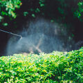 Le temps n’est plus au laxisme avec les pesticides
