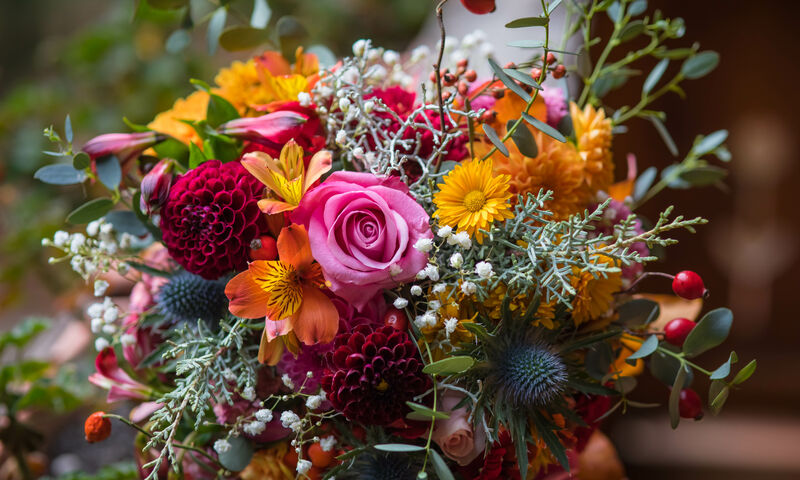 Saint-Valentin empoisonnée 100 % des fleurs testées sont contaminées​​​​​