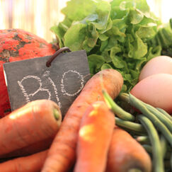 Sur-marges sur les fruits et légumes bio  La grande distribution matraque toujours les consommateurs !