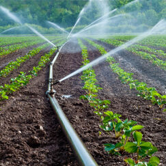 Varenne agricole de l’eau et du changement climatique Les impasses et les oublis du gouvernement