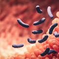 Additif alimentaire E466 •
Des effets néfastes sur le microbiote