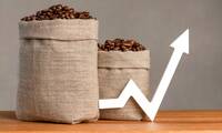 Alimentation Les prix du café s’emballent