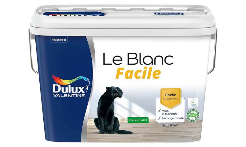 Allégation environnementale Le biosourcé selon Dulux Valentine, de la poudre aux yeux ?