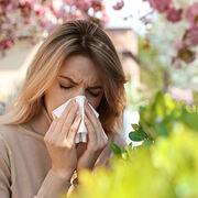 Allergies Attention aux pollens