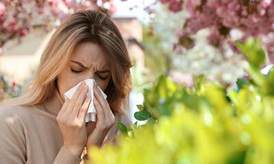 Allergies Attention aux pollens