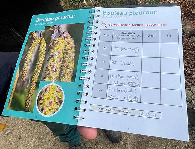 Allergies  Comment les pollens sont placés sous surveillance