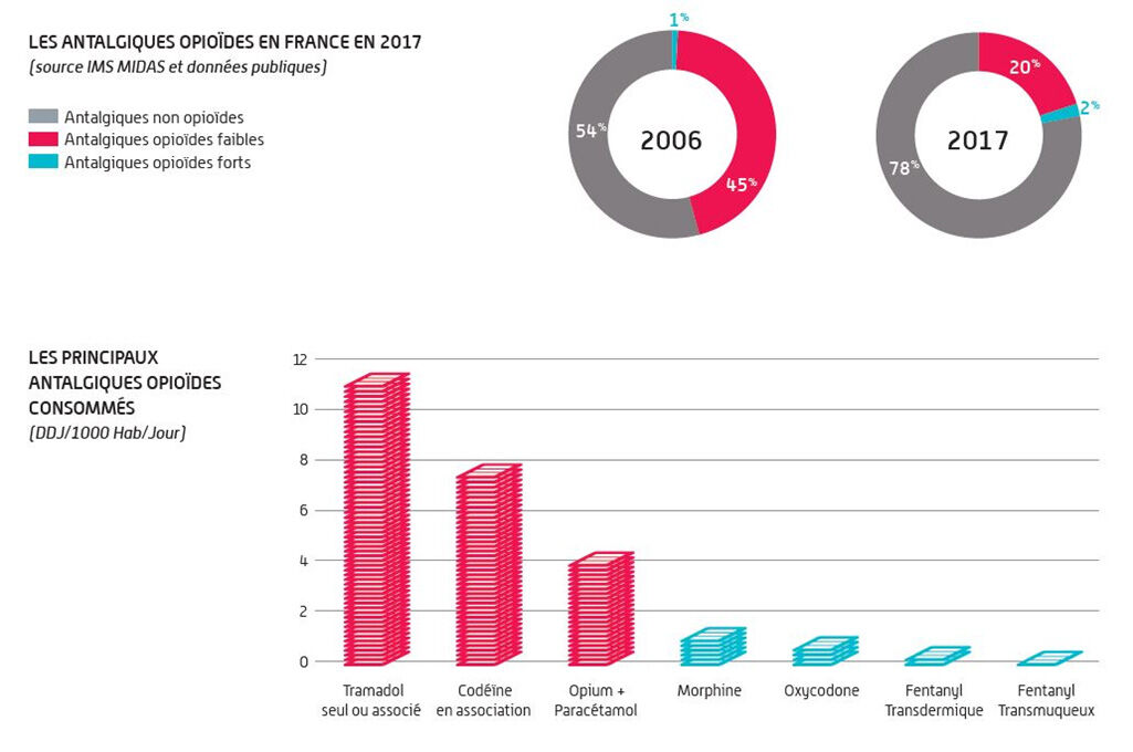 graphique---les-antalgiques-opioides-en-france-en-2017