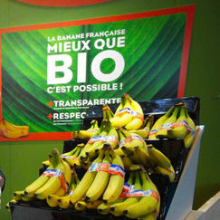 Bananes bio Retrait d’une publicité des producteurs antillais