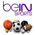 BeIN Sports •
+36 % en 4 ans !
