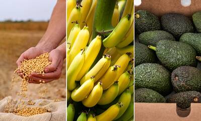 Bio : les 7 produits les plus fraudés