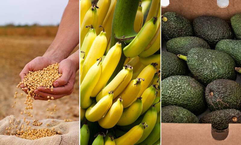 Bio : les 7 produits les plus fraudés