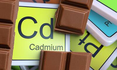 Cadmium dans le chocolat Une contamination bien réelle