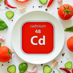 Cadmium dans les aliments La faute aux engrais