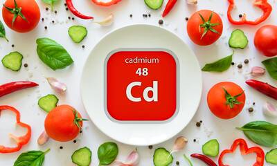 Cadmium dans les aliments La faute aux engrais Cadmium dans les aliments La faute aux engrais
