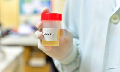 Cadmium Le dépistage bientôt remboursé, mais pas pour tous