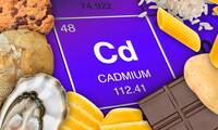 Cadmium Que peut-on encore manger ?