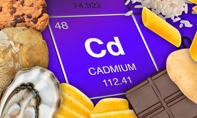 Cadmium Que peut-on encore manger ?