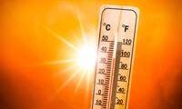 Canicule précoce Quand le gouvernement retarde une campagne de prévention