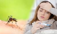 Chikungunya, dengue, Zika Pourquoi il faut consulter en cas de symptômes suspects