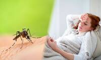 Chikungunya ou dengue - Connaissez-vous les symptômes de ces maladies transmises par les virus ?