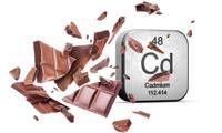 Chocolat (vidéo) Pourquoi il faut se méfier du cadmium !