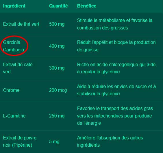 Parmi les ingrédients indiqués sur le site de Nourix, de la Garcinia cambogia, malgré son interdiction. Image