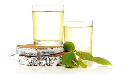 Cure de sève de bouleau Des promesses qui tombent à l’eau