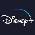 Faux sites Disney+ •
Arnaque à l’abonnement