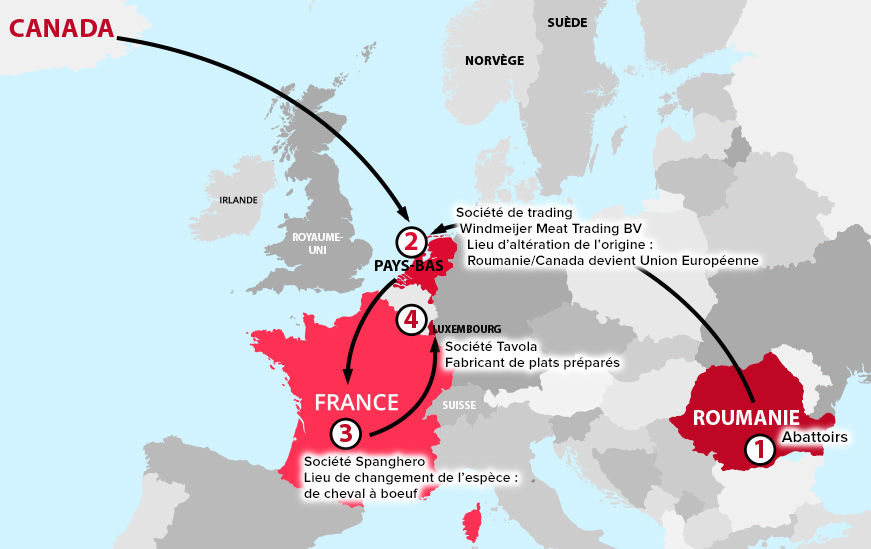 infographie-trajet-physique-viande-cheval-carte-europe