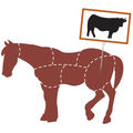 Fraudes à la viande de cheval •
Le procès s'ouvre enfin