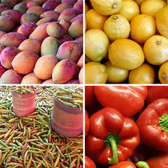Fruits de l’Île de la Réunion Mangues, combavas et piments interdits d’exportation