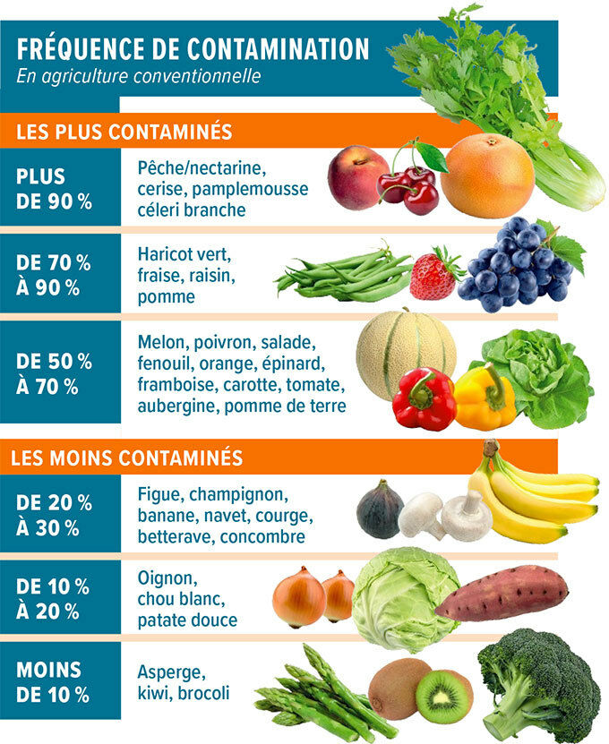Les fruits et légumes à consommer en juin - Conseils santé bien-être