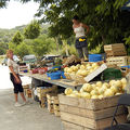 Fruits et légumes •
Les dessous peu ragoûtants des ventes sauvages