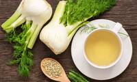 Infusions à base de graines de fenouil Des risques pour la santé