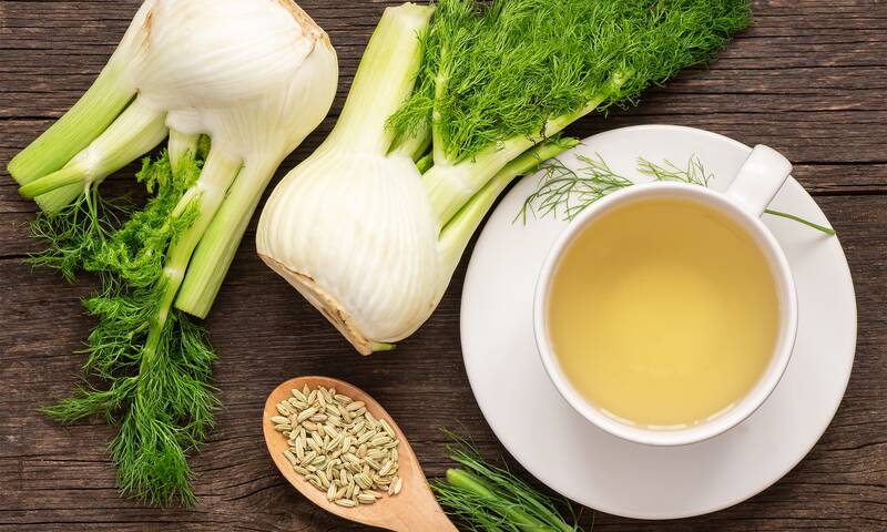 Infusions à base de graines de fenouil Des risques pour la santé