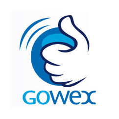 Investissement/placement L’étrange affaire Gowex