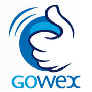 Investissement/placement L’étrange affaire Gowex