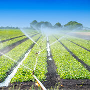 Irrigation agricole Obligation de préserver le débit minimum des rivières