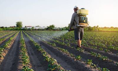 La Belgique autorise un pesticide génétique dans des conditions inquiétantes